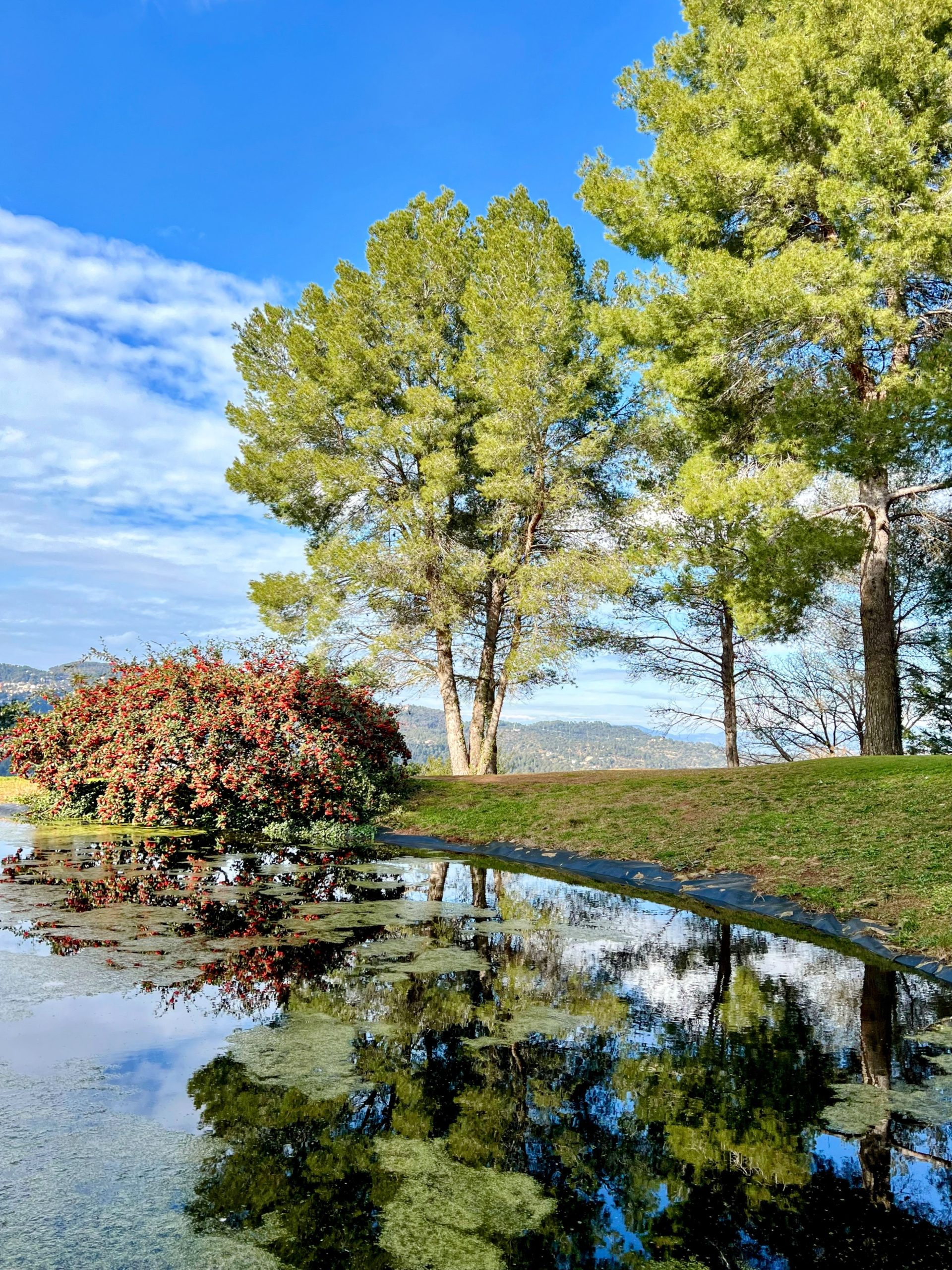 690ad2e43d4410c215e6dd5390a6a96ecfb2bc24 scaled